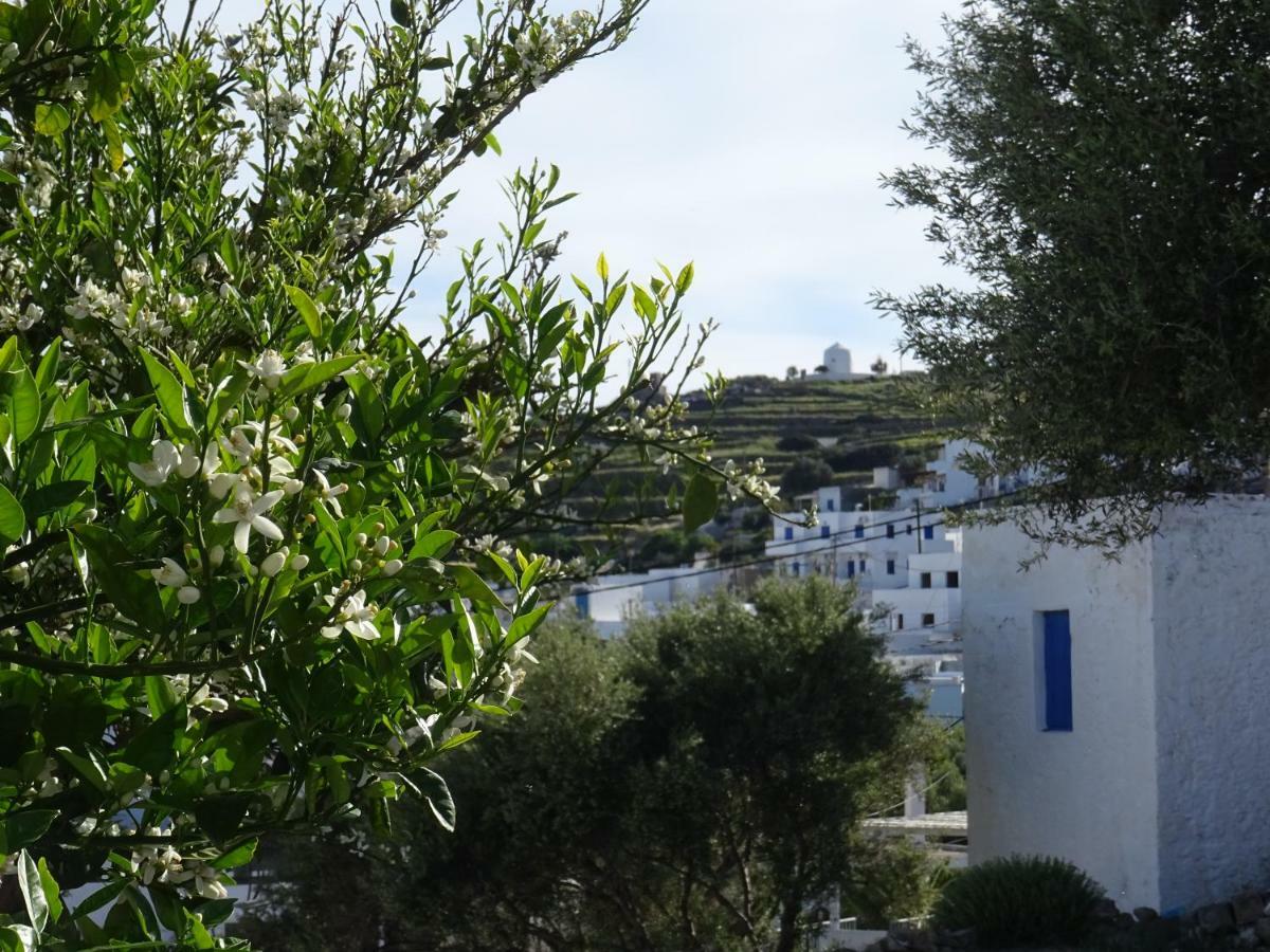 Matilda Milos - Cycladic Living Daire Triovasálos Dış mekan fotoğraf
